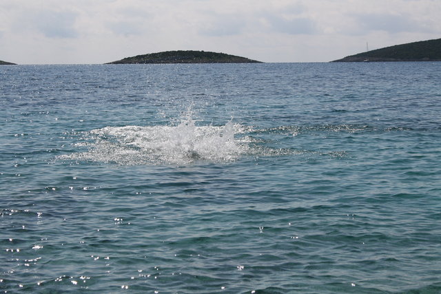 gal/cro 08/small-IMG_4916.JPG